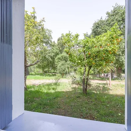 Terrazza Moriani - à 500m De La *